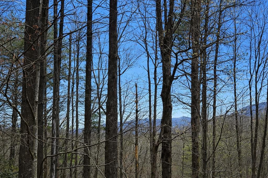 396 Dover Falls Trail, Ellijay GA 30540 - Photo