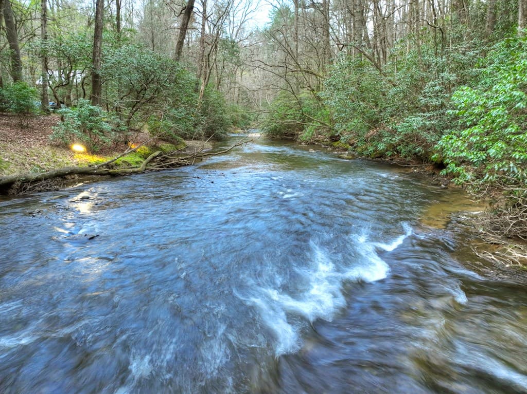 266 River Road, Cherry Log GA 30522 - Photo