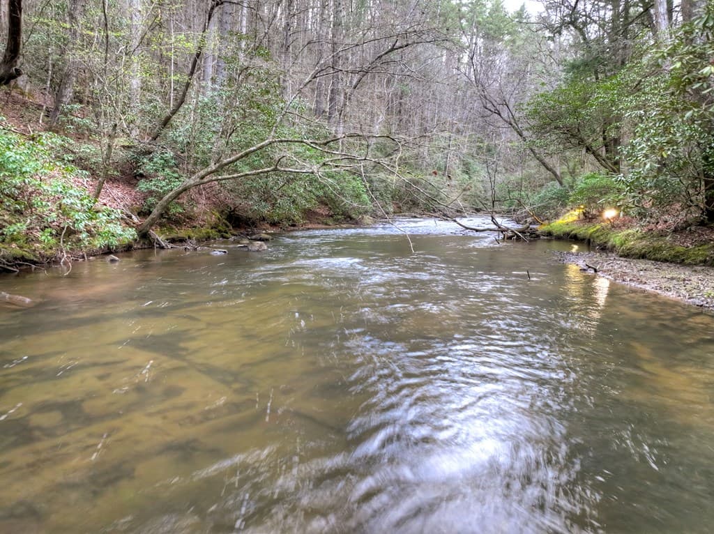 266 River Road, Cherry Log GA 30522 - Photo