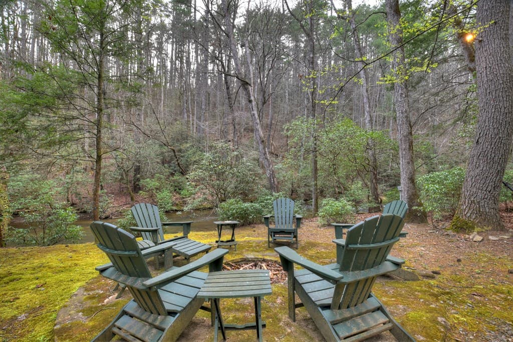 266 River Road, Cherry Log GA 30522 - Photo