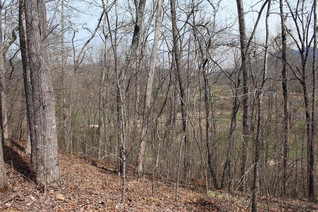 Lot 86A Licklog Ridge, Hayesville NC 28904 - Primary photo