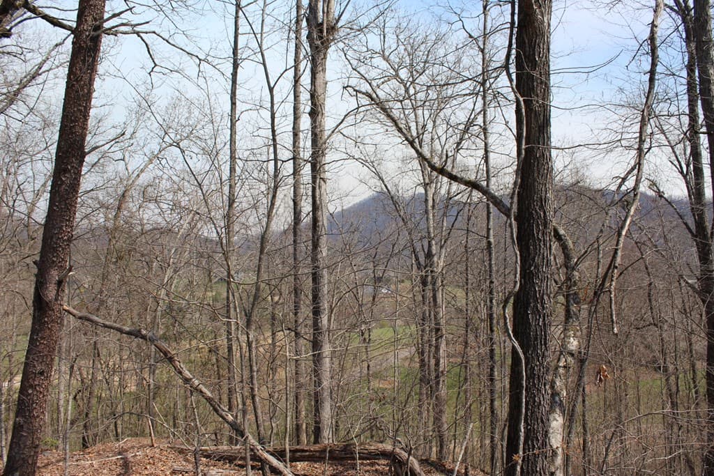 Lot 86A Licklog Ridge, Hayesville NC 28904 - Photo
