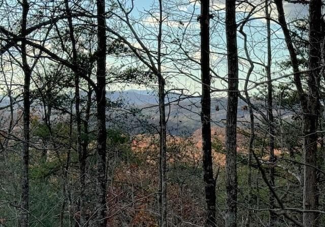 Lot 49 Mission Ridge, Hayesville NC 28904 - Photo