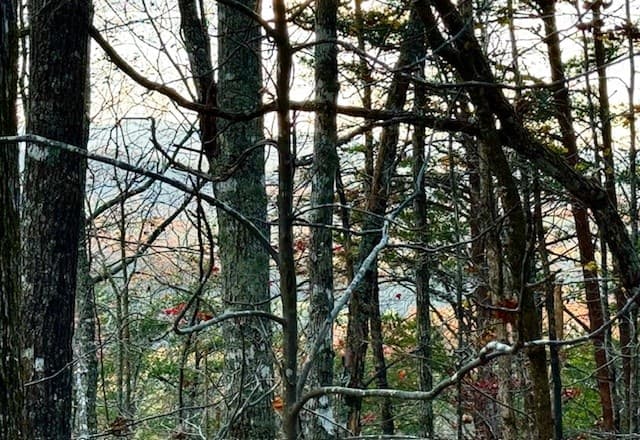 Lot 49 Mission Ridge, Hayesville NC 28904 - Photo
