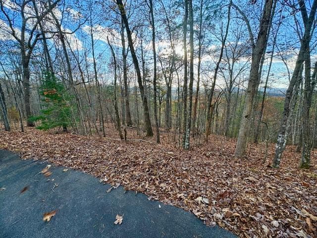 Lot 49 Mission Ridge, Hayesville NC 28904 - Primary photo