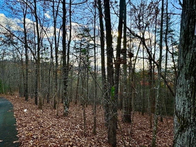Lot 49 Mission Ridge, Hayesville NC 28904 - Photo
