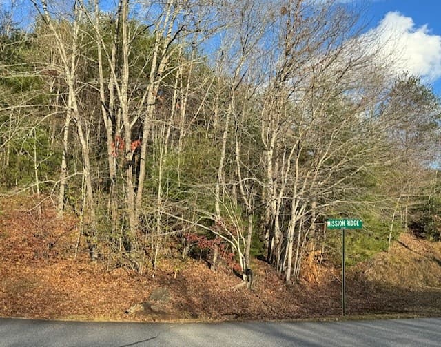 Lot 49 Mission Ridge, Hayesville NC 28904 - Photo