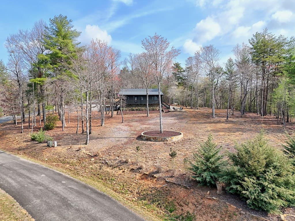 720 Meadow Brook Trail, Morganton GA 30560 - Photo