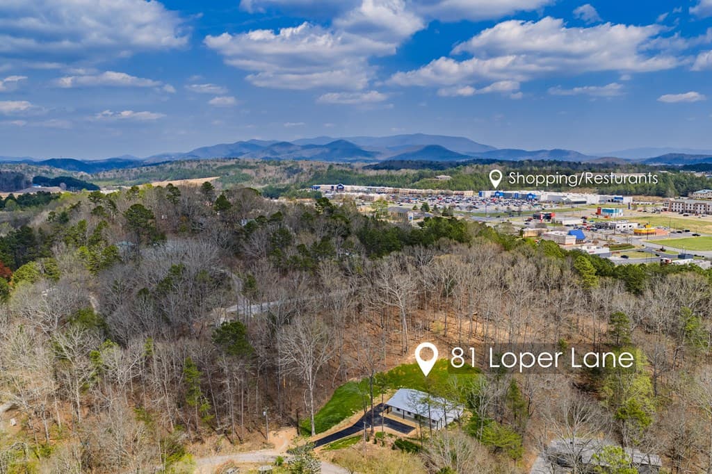 81 Loper Lane, Ellijay GA 30536 - Photo