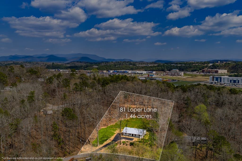 81 Loper Lane, Ellijay GA 30536 - Photo