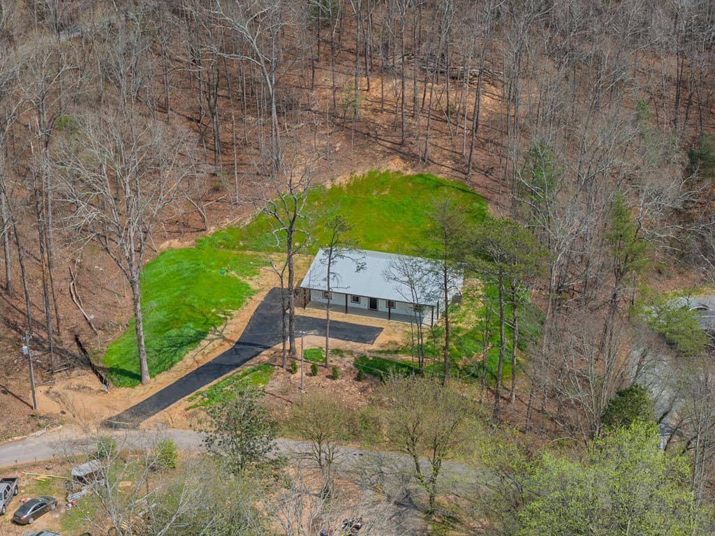 81 Loper Lane, Ellijay GA 30536 - Photo