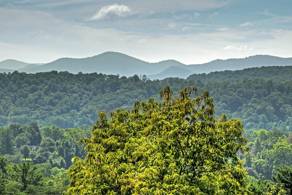 222 Mountain Hideaway Lane, Blue Ridge GA 30513 - Photo