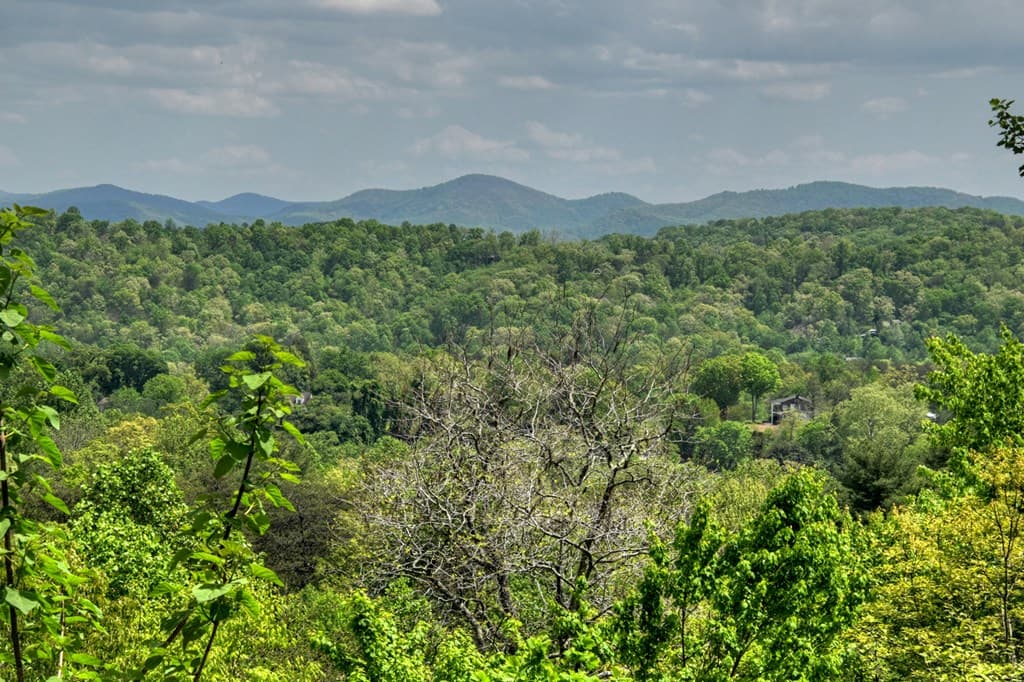 222 Mountain Hideaway Lane, Blue Ridge GA 30513 - Photo
