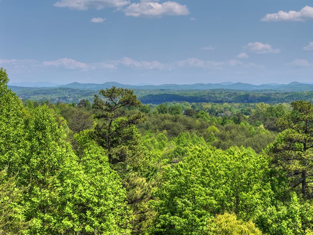 222 Mountain Hideaway Lane, Blue Ridge GA 30513 - Photo