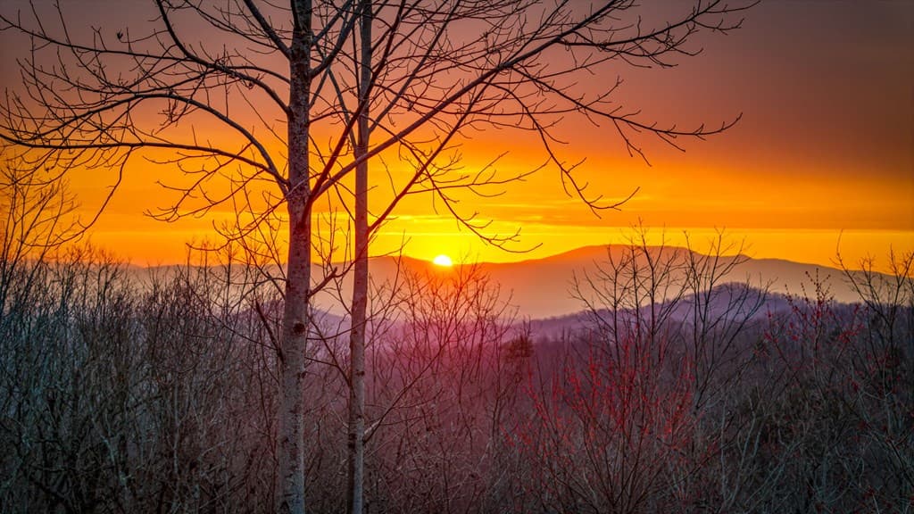 1150 Mountain High Drive, Mineral Bluff GA 30559 - Photo
