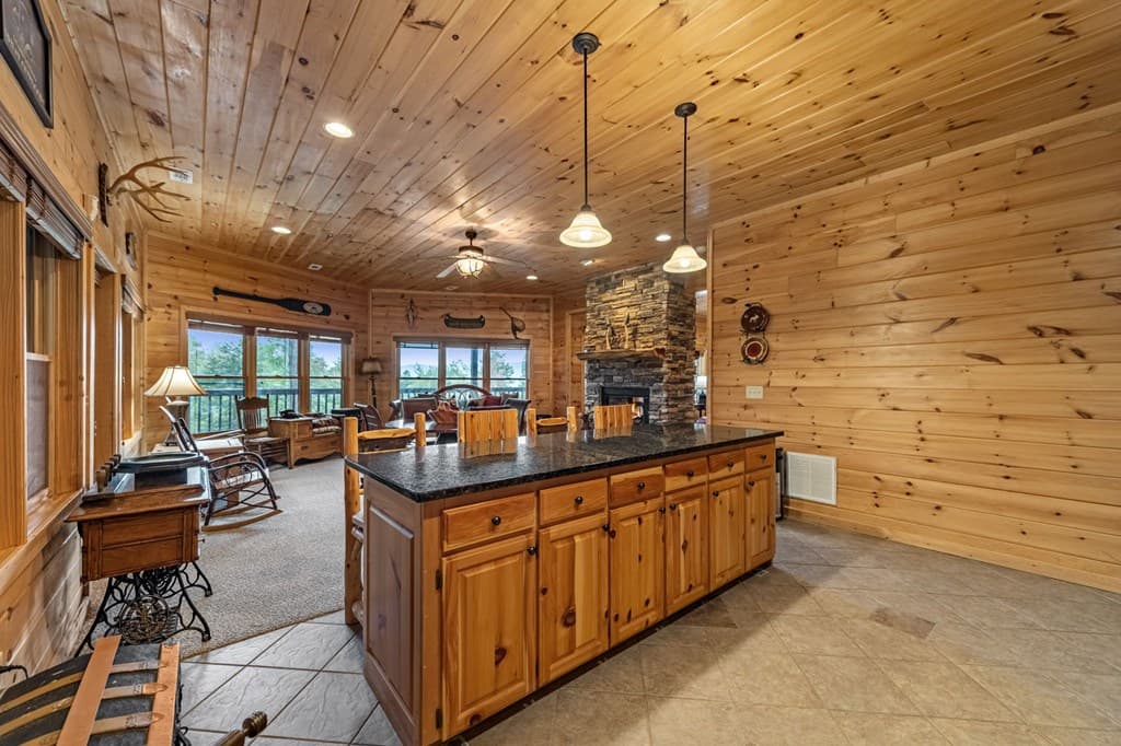 1150 Mountain High Drive, Mineral Bluff GA 30559 - Photo