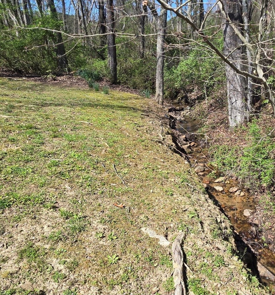 129 Moccasin Lane, Blairsville GA 30512 - Photo