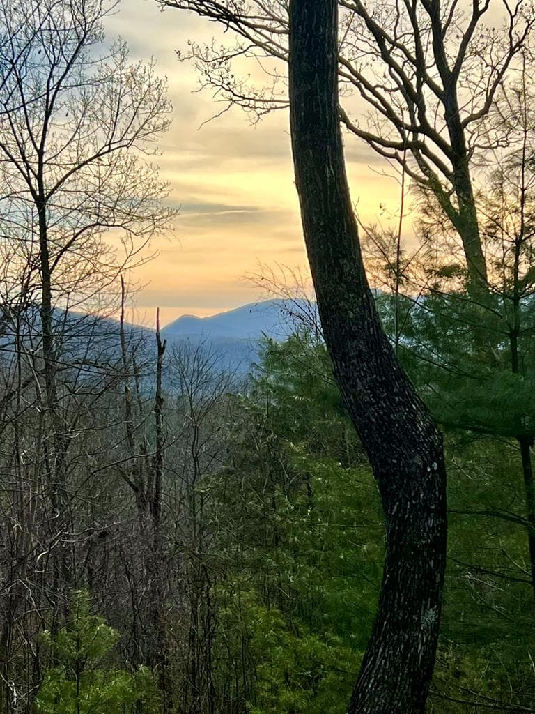 403 Barefoot Rise, Hiawassee GA 30546 - Photo