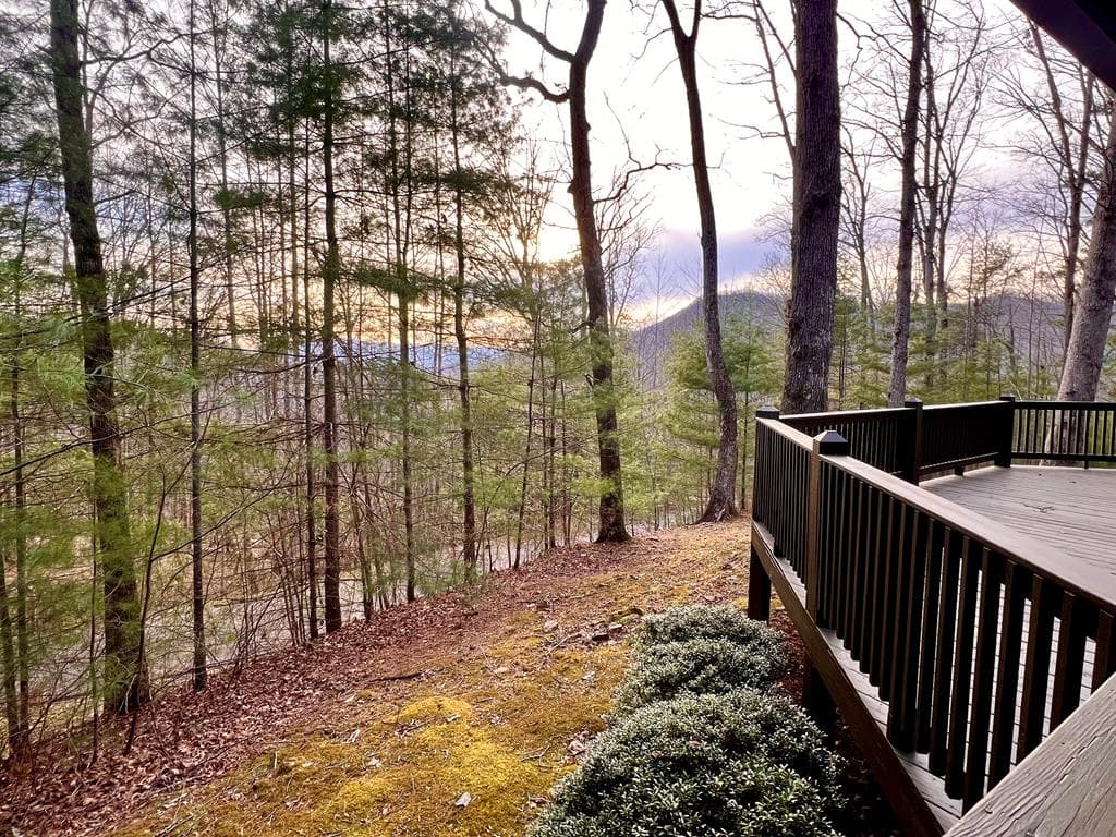 403 Barefoot Rise, Hiawassee GA 30546 - Photo