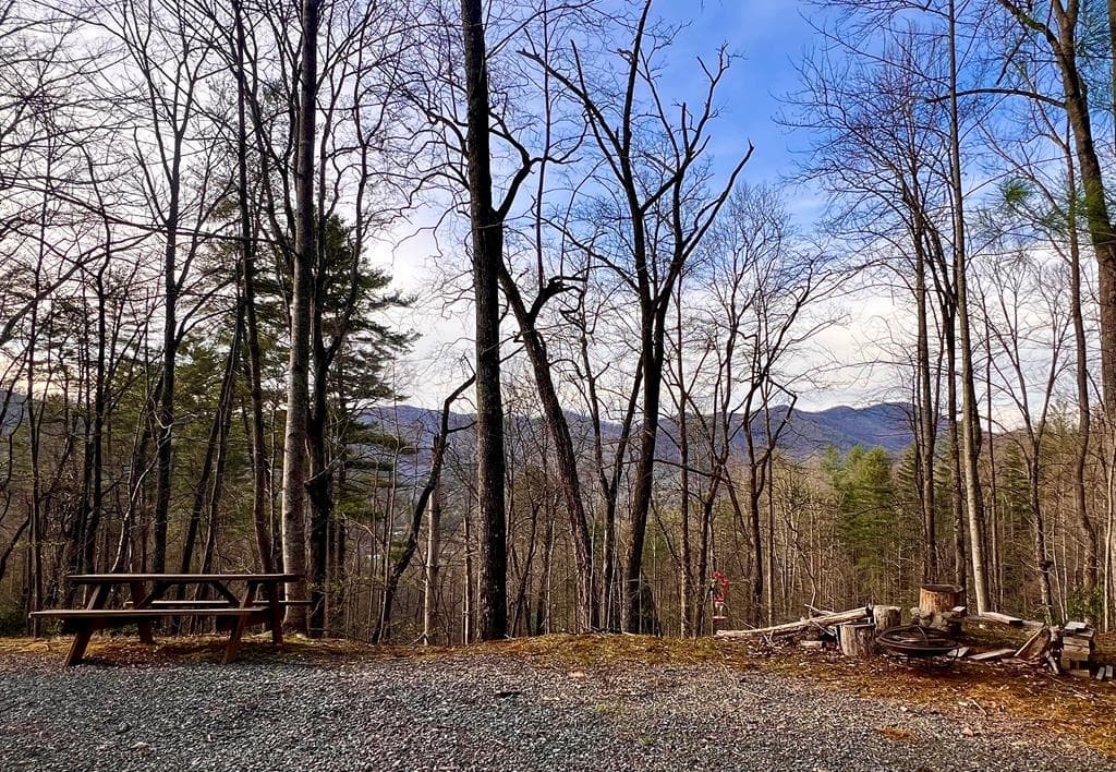 403 Barefoot Rise, Hiawassee GA 30546 - Photo