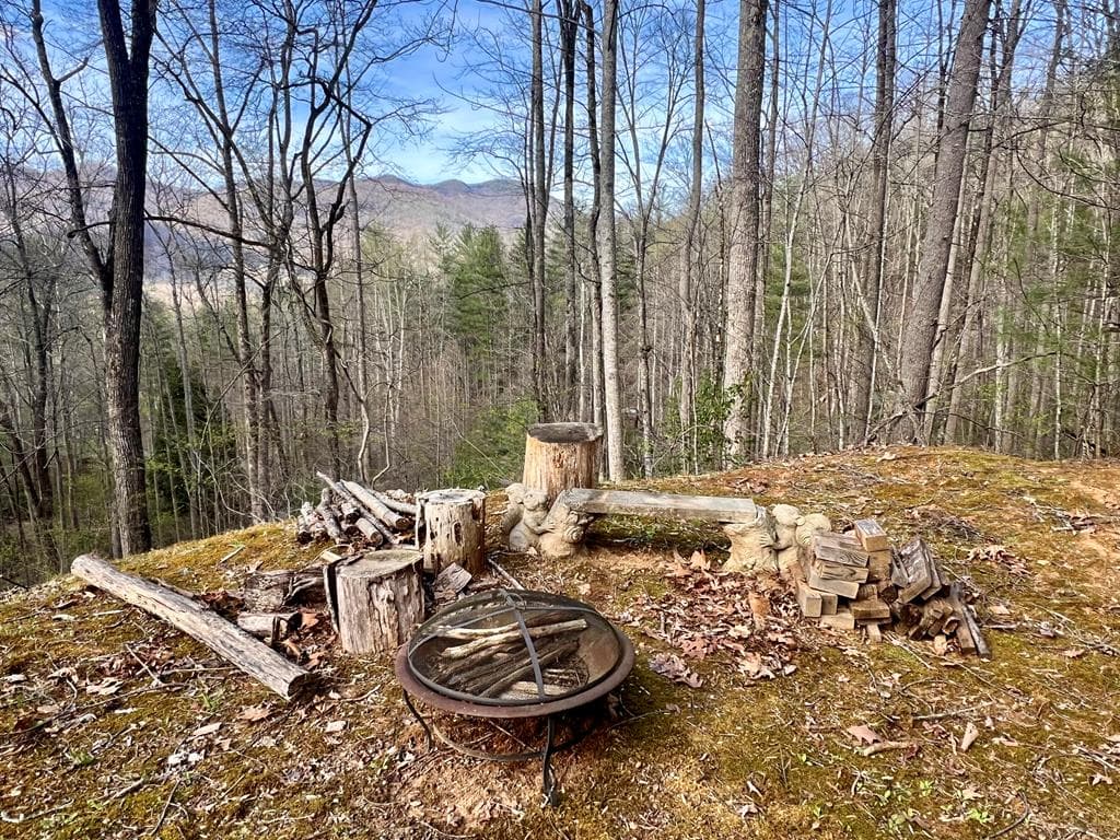 403 Barefoot Rise, Hiawassee GA 30546 - Photo