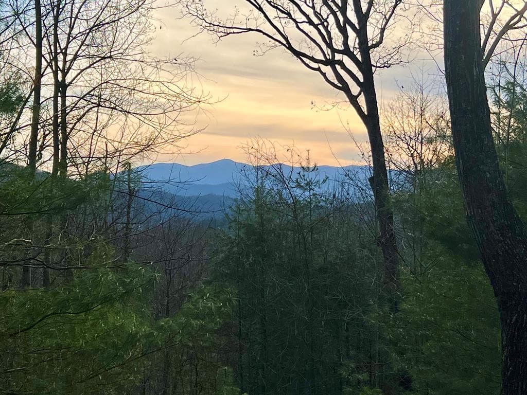 403 Barefoot Rise, Hiawassee GA 30546 - Photo