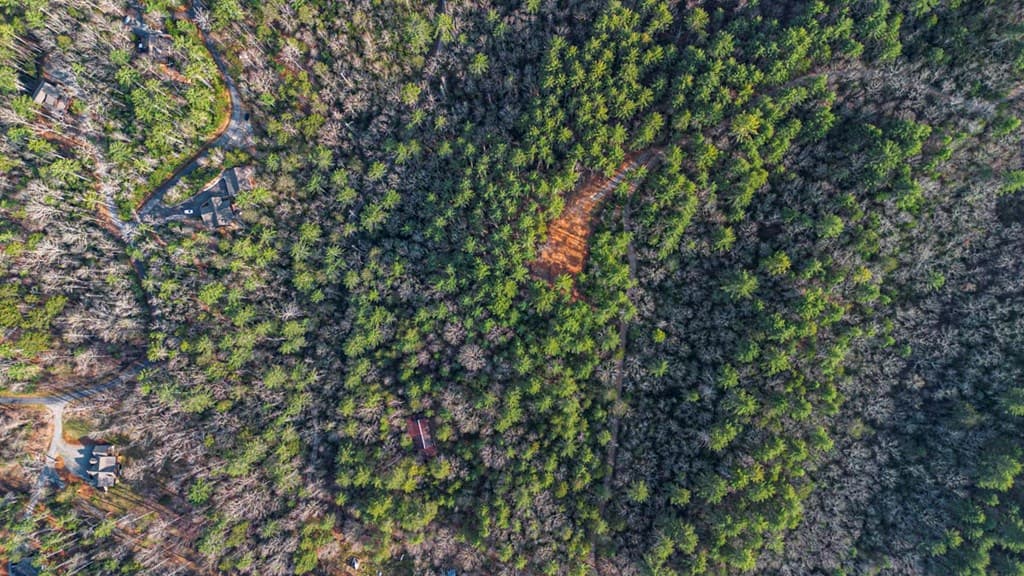 327 Hooch Holler Lane, Morganton GA 30560 - Photo