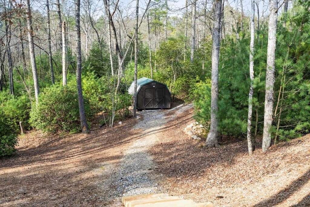 327 Hooch Holler Lane, Morganton GA 30560 - Photo