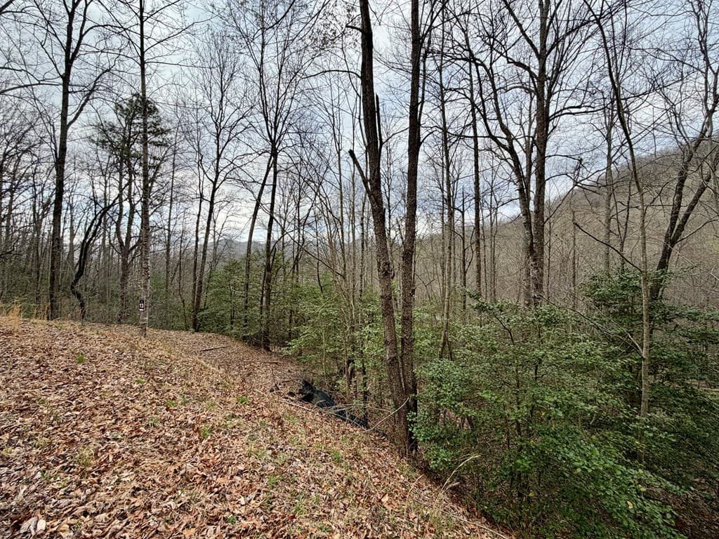 Lot 13 The Highlands, Hiawassee GA 30546 - Photo