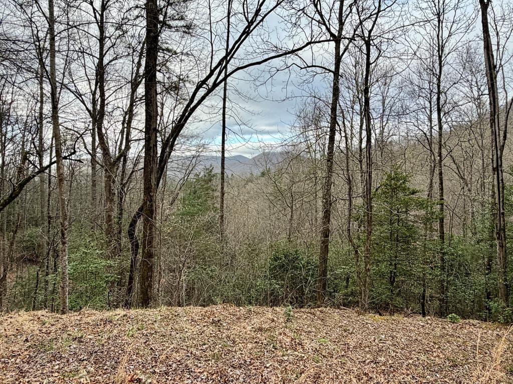 Lot 13 The Highlands, Hiawassee GA 30546 - Primary photo