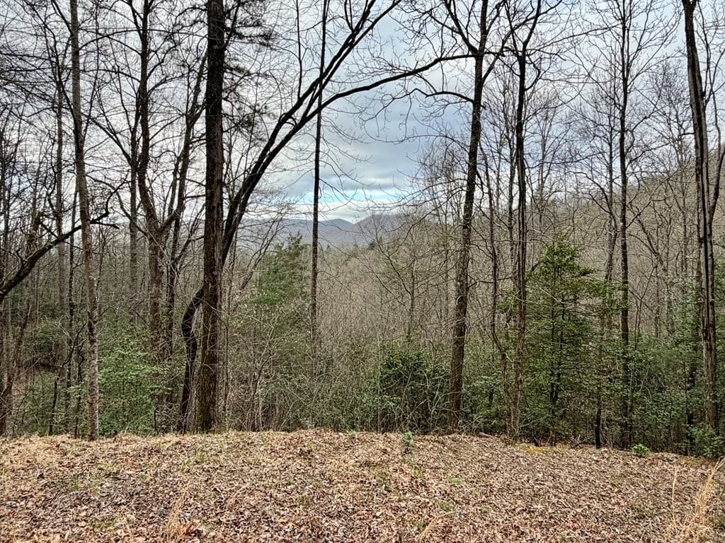 Lot 13 The Highlands, Hiawassee GA 30546 - Photo
