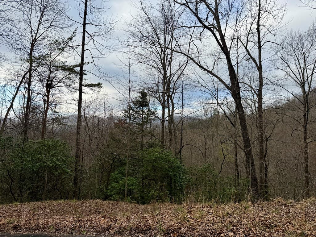 Lot 14 The Highlands, Hiawassee GA 30546 - Photo