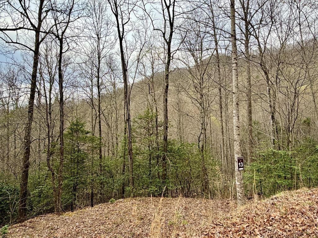 Lot 14 The Highlands, Hiawassee GA 30546 - Primary photo