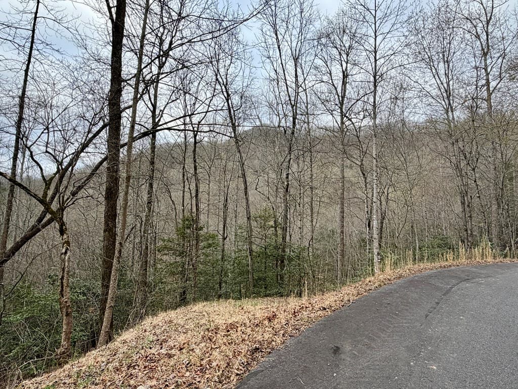 Lot 14 The Highlands, Hiawassee GA 30546 - Photo
