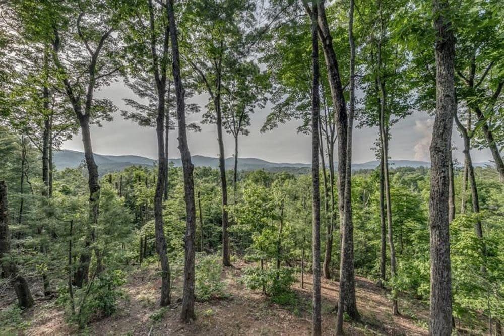 587 Candy Lane, Ellijay IA 50512 - Photo