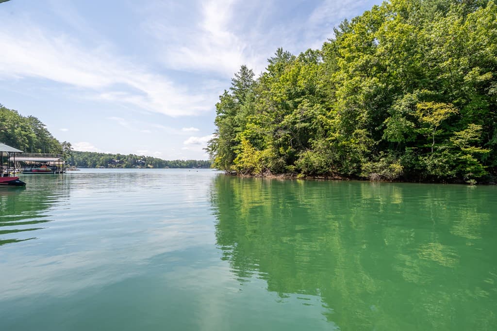 94 Rome Point, Blue Ridge GA 30513 - Photo