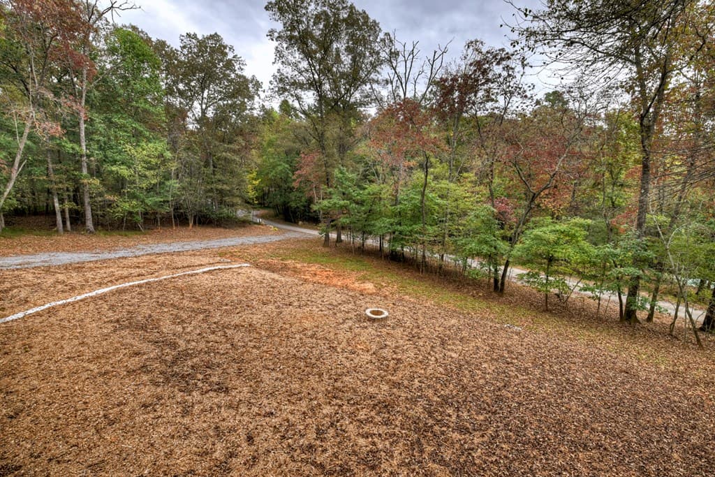 288 Windy Valley Trail, Blue Ridge GA 30513 - Photo