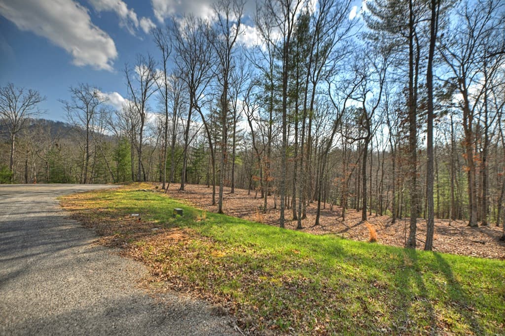 LT 13 Rocky Ridge, Mineral Bluff GA 30559 - Photo