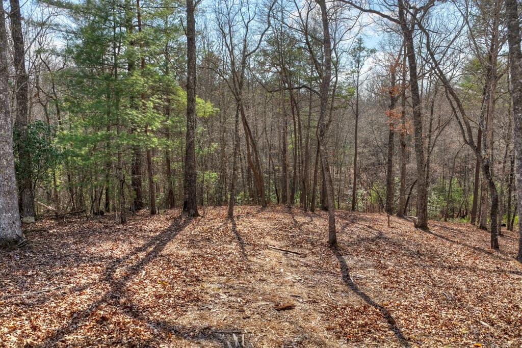 LT 13 Rocky Ridge, Mineral Bluff GA 30559 - Photo