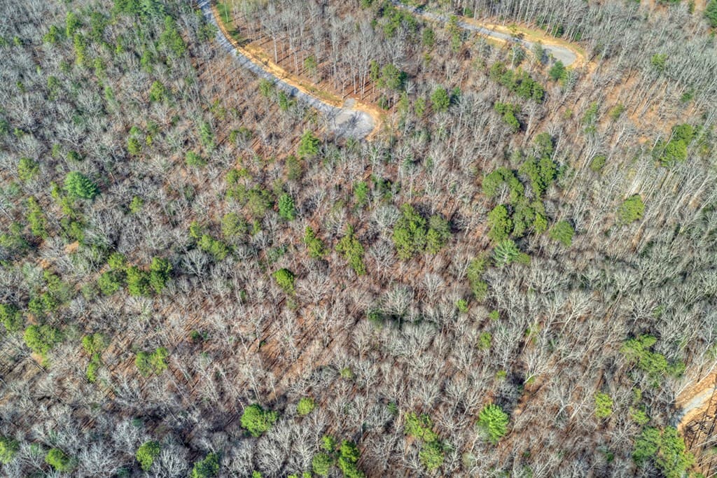 LT 13 Rocky Ridge, Mineral Bluff GA 30559 - Photo