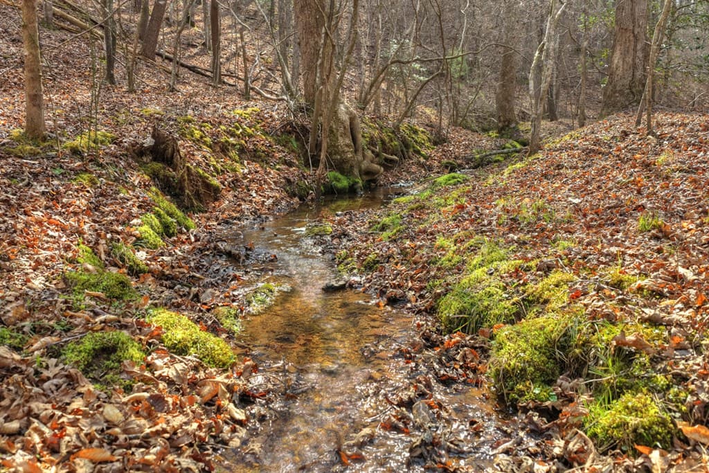 LT 13 Rocky Ridge, Mineral Bluff GA 30559 - Photo