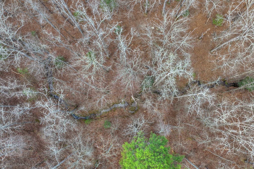 LT 13 Rocky Ridge, Mineral Bluff GA 30559 - Photo