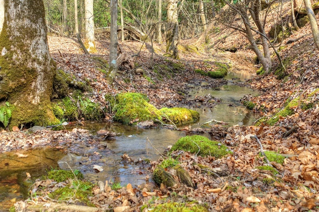 LT 13 Rocky Ridge, Mineral Bluff GA 30559 - Photo