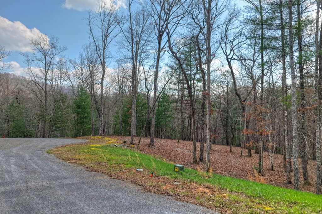 LT 13 Rocky Ridge, Mineral Bluff GA 30559 - Photo