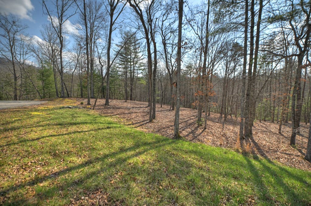 LT 13 Rocky Ridge, Mineral Bluff GA 30559 - Photo