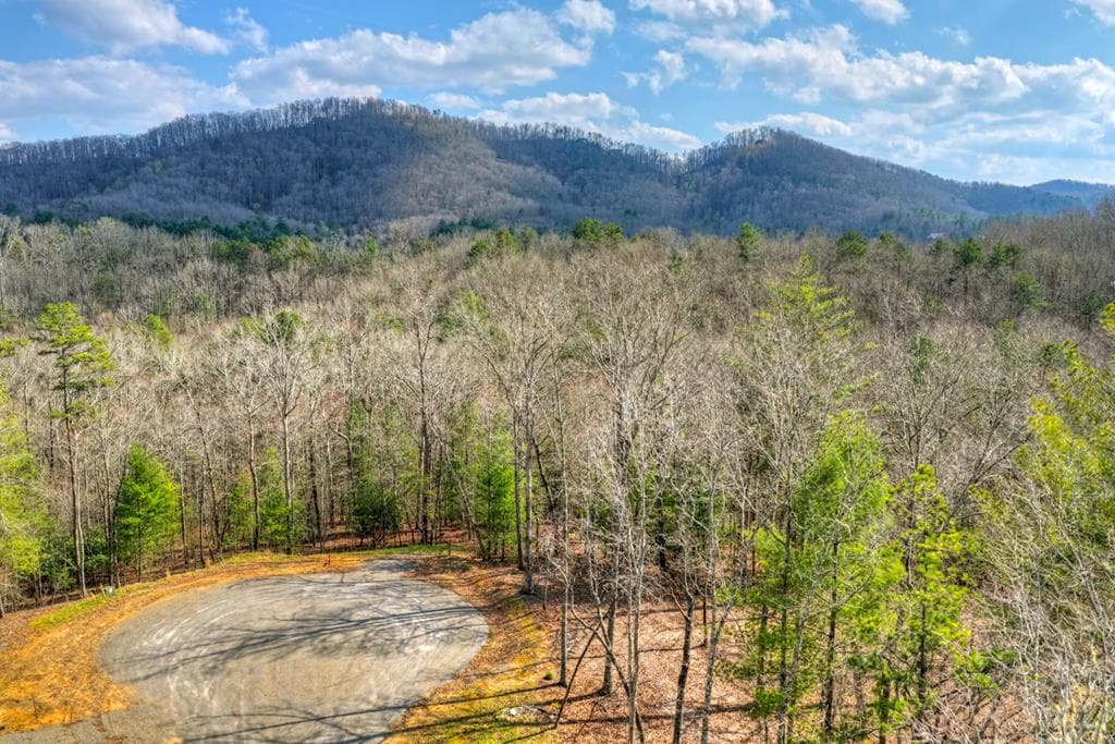 LT 13 Rocky Ridge, Mineral Bluff GA 30559 - Primary photo