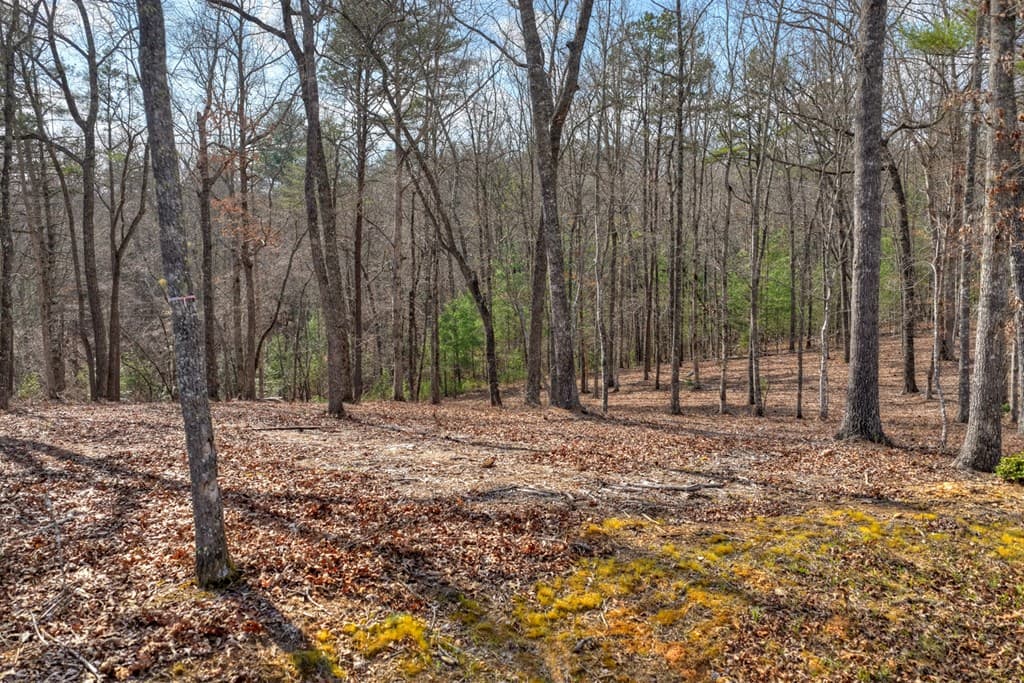 LT 13 Rocky Ridge, Mineral Bluff GA 30559 - Photo