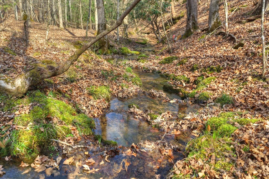 LT 13 Rocky Ridge, Mineral Bluff GA 30559 - Photo