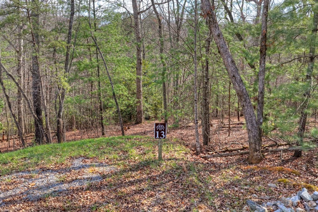LT 13 Rocky Ridge, Mineral Bluff GA 30559 - Photo