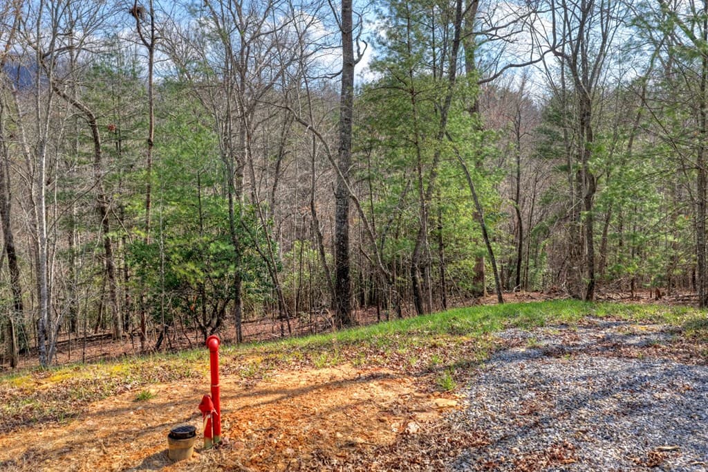 LT 13 Rocky Ridge, Mineral Bluff GA 30559 - Photo